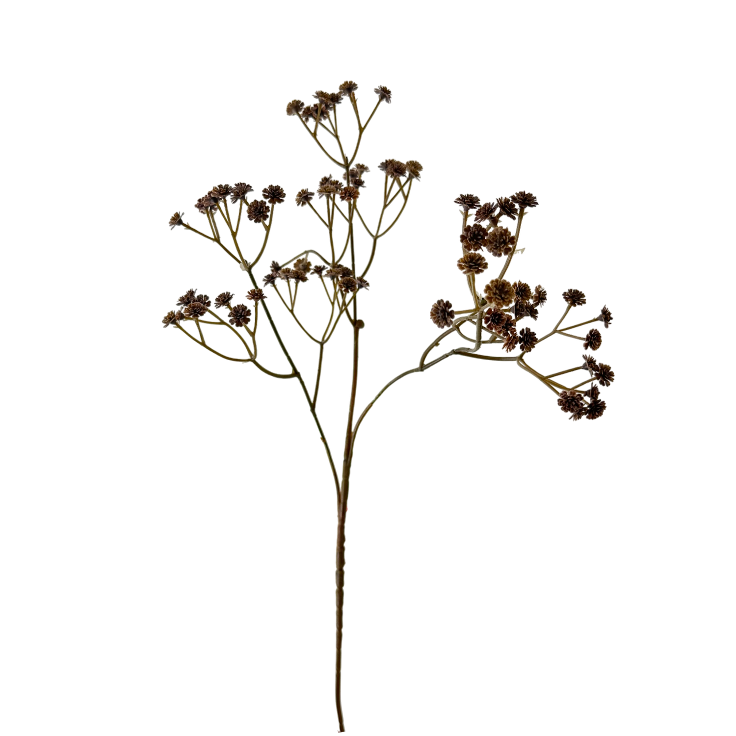 24" Brown Babysbreath