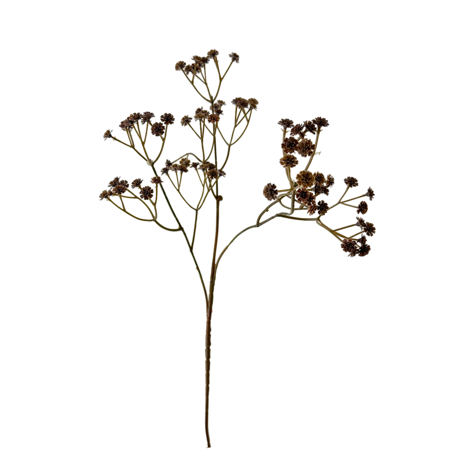 24" Brown Babysbreath