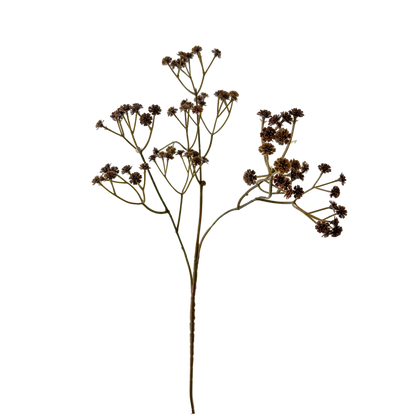 24" Brown Babysbreath