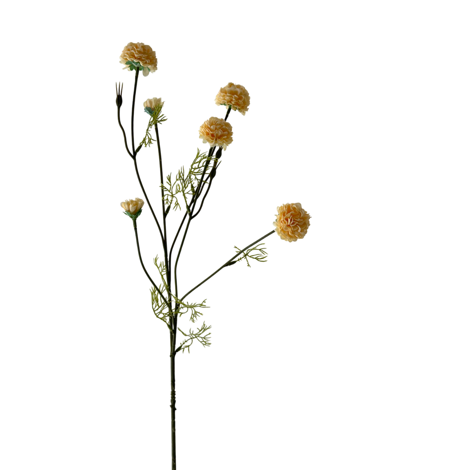 Chrysanthemum 32" Yellow