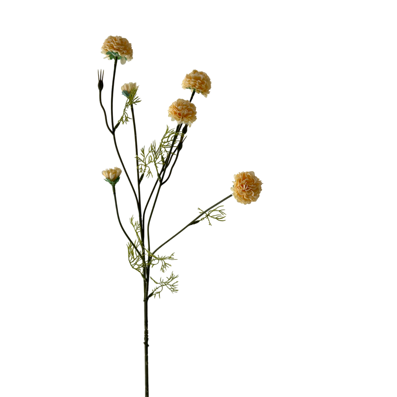 Chrysanthemum 32" Yellow