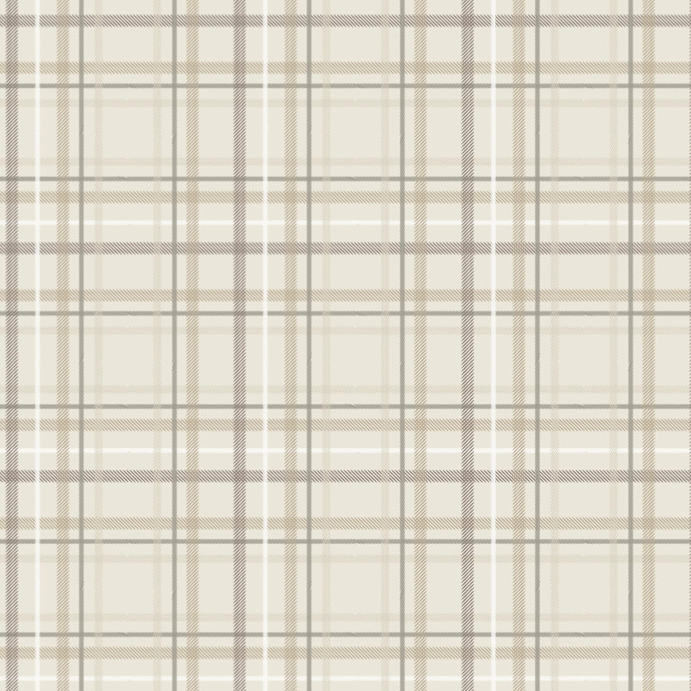 Minky Throw Blanket - (Plaid)