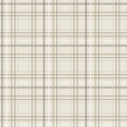 Minky Throw Blanket - (Plaid)