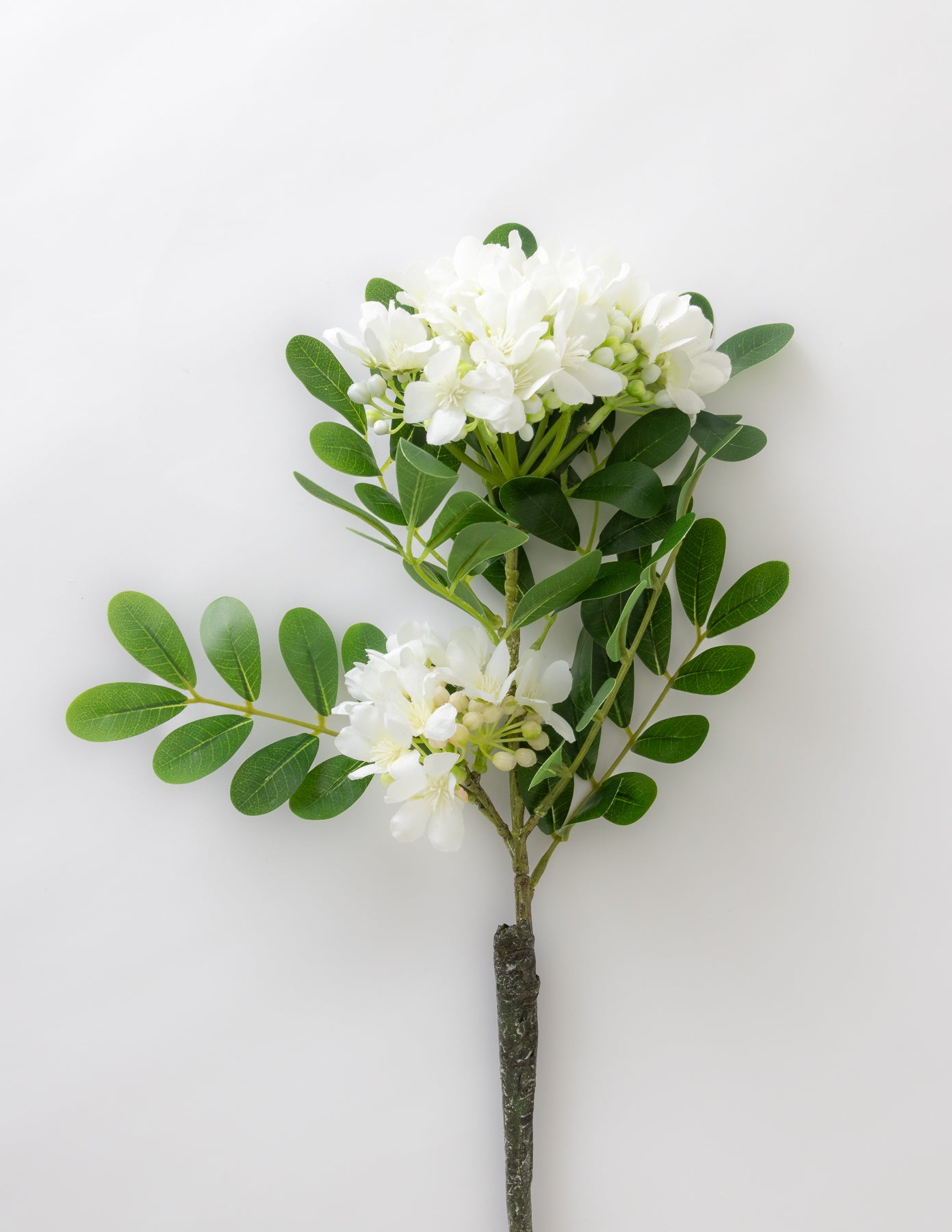 Mountain Laurel Stem - 23&quot;