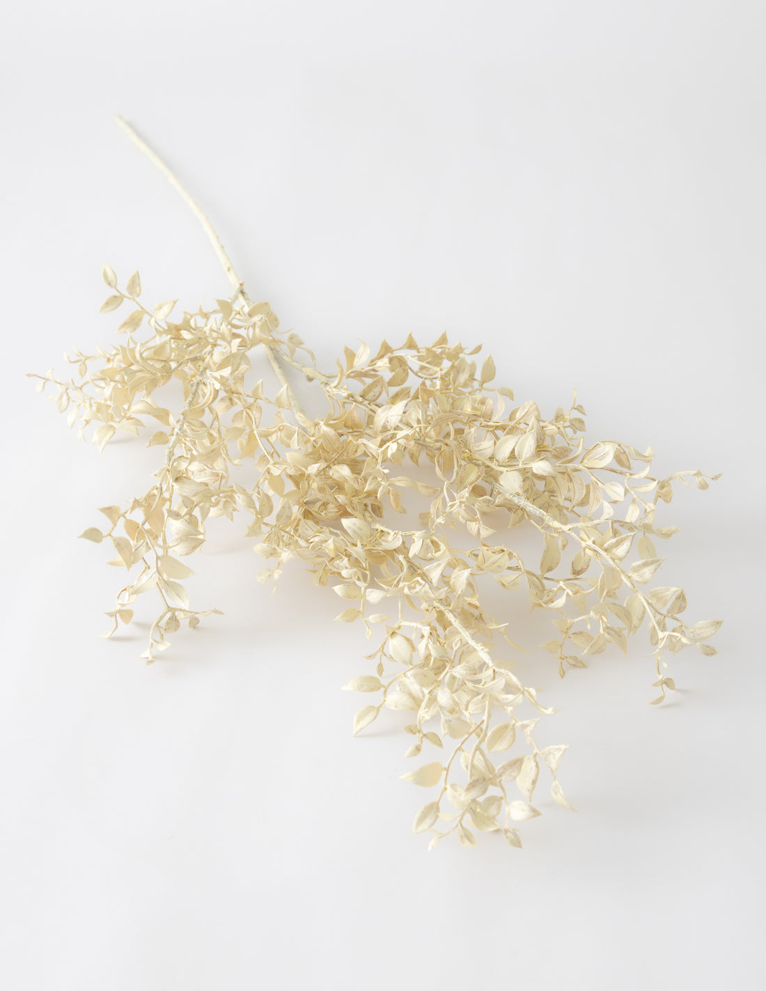 Smilax Stem - 35"