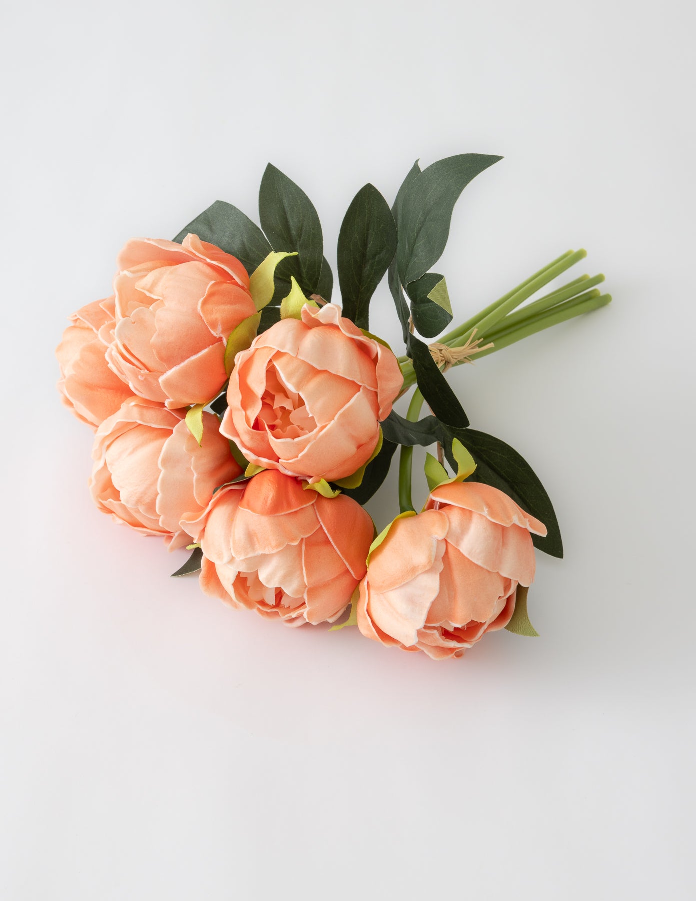 Peony Bundle (6 Stems) - Dark Peach