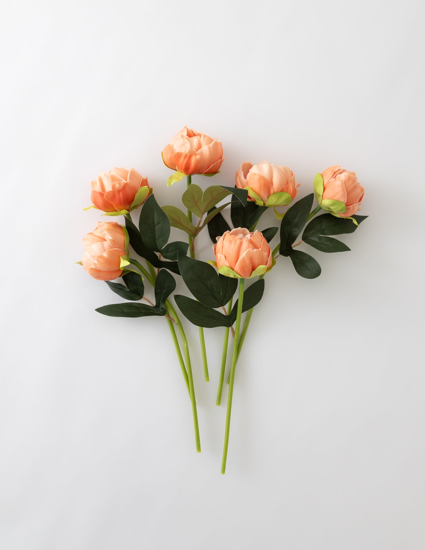 Peony Bundle (6 Stems) - Dark Peach