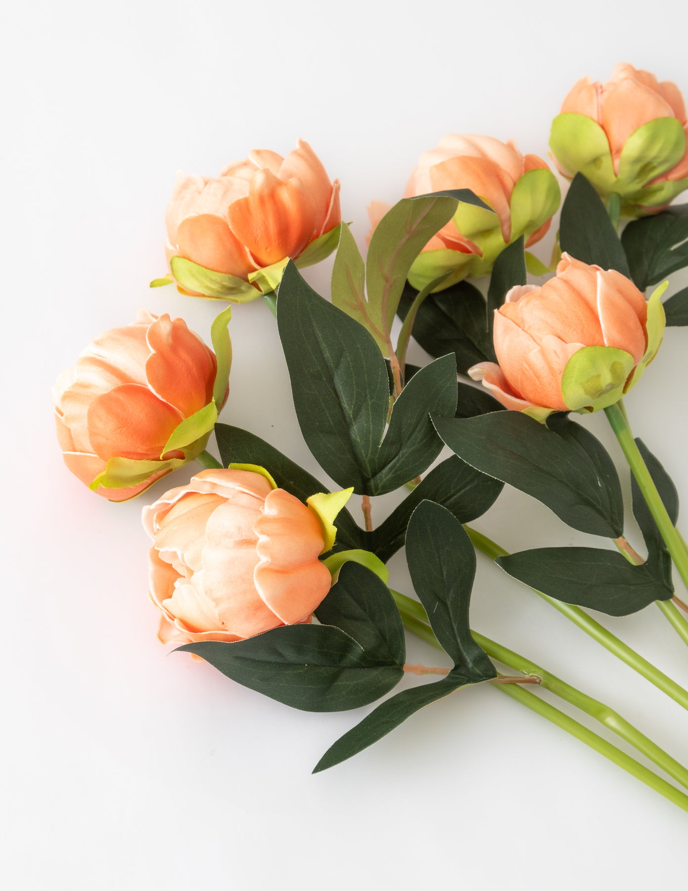 Peony Bundle (6 Stems) - Dark Peach