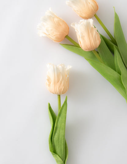 Parrot Tulip Bundle (12 Stems) - Light Peach