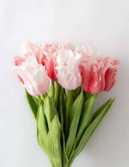 Parrot Tulip Bundle (12 Stems) - Pink Assortment