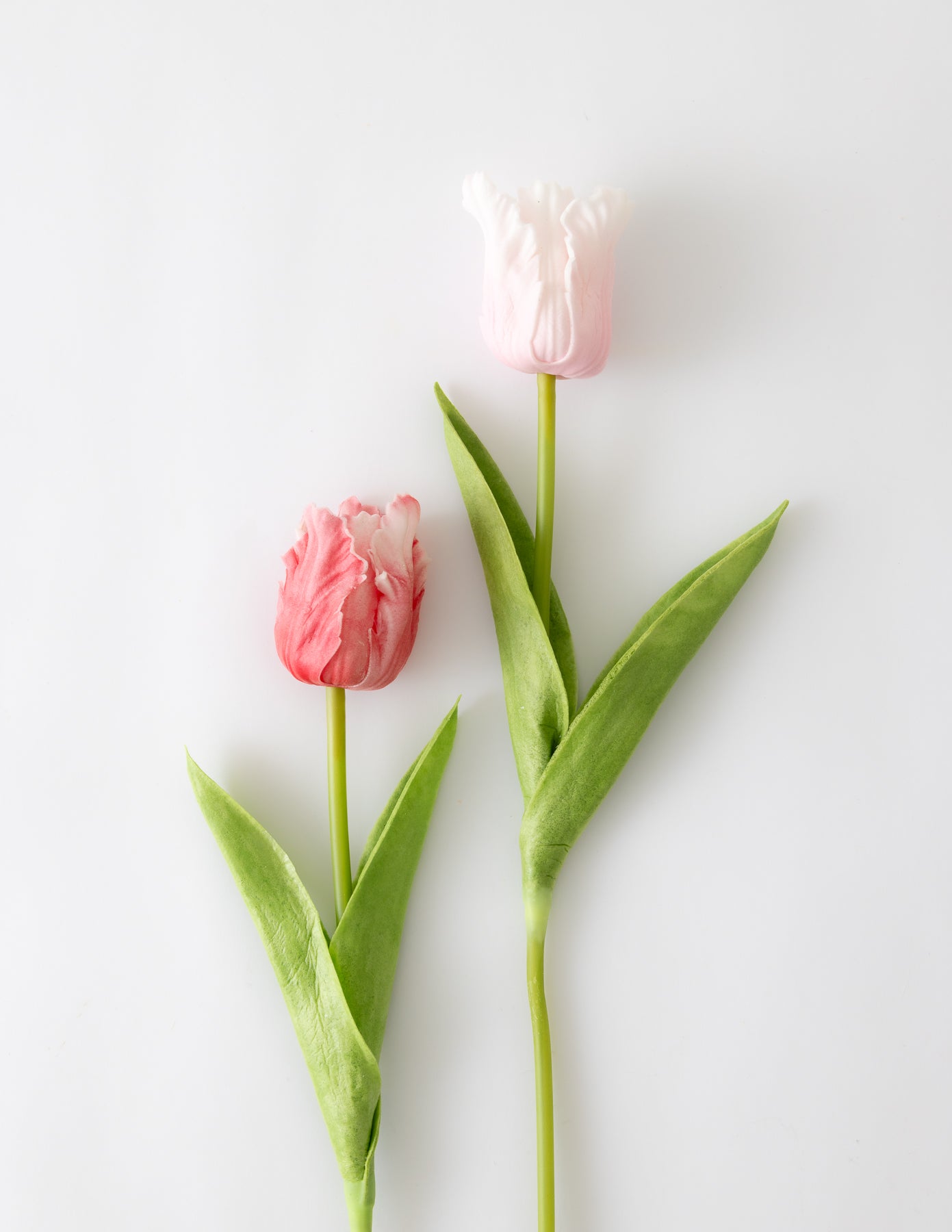 Parrot Tulip Bundle (12 Stems) - Pink Assortment