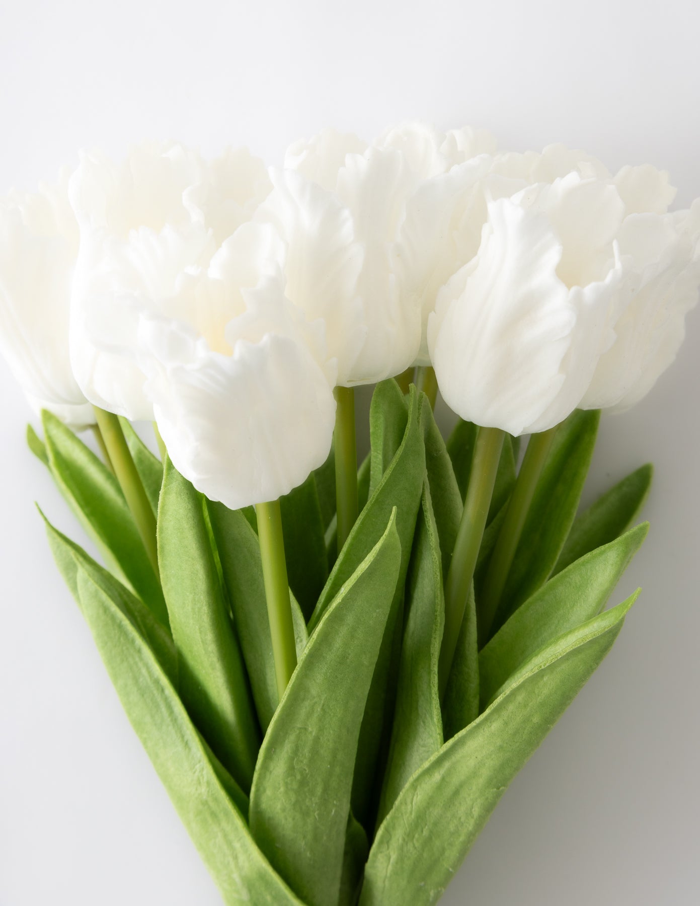 Parrot Tulip Bundle (12 Stems) - White