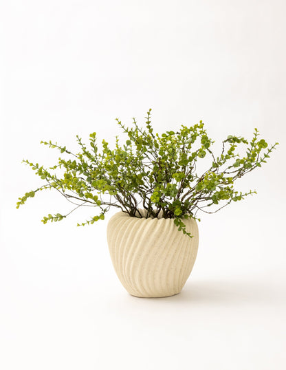 Stoneware Pleated Planter