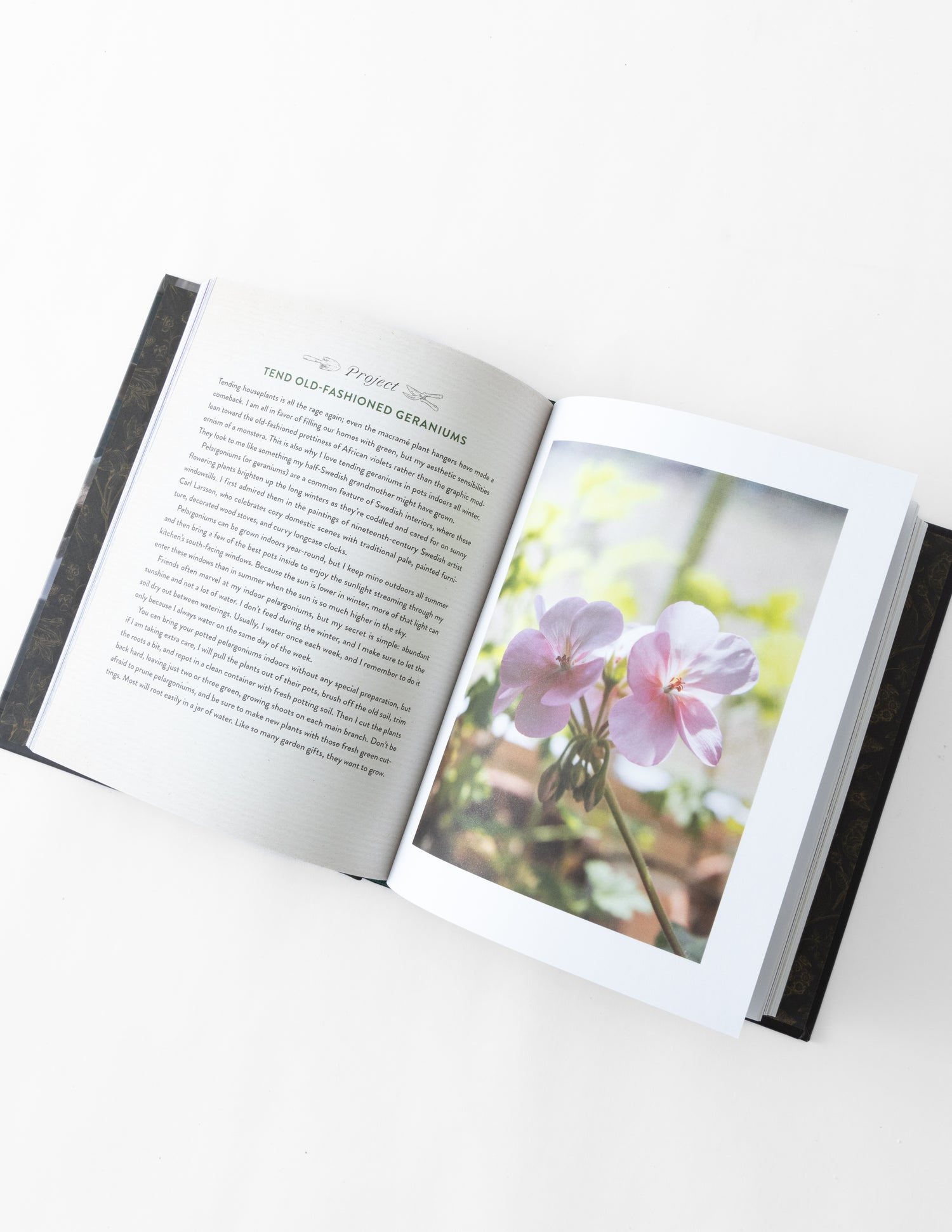 A Home in Bloom (Book)