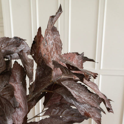 Dry Hydrangea Leaf Spray - Wine