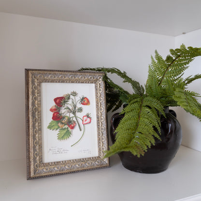 Study of Strawberries Framed Antique Art: 8x10