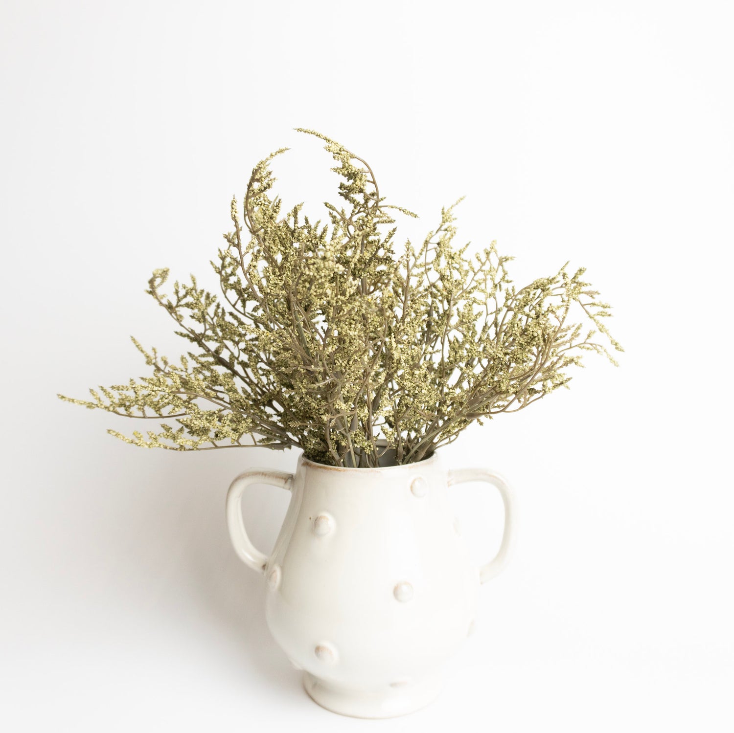 14.5" Green Dance Plant