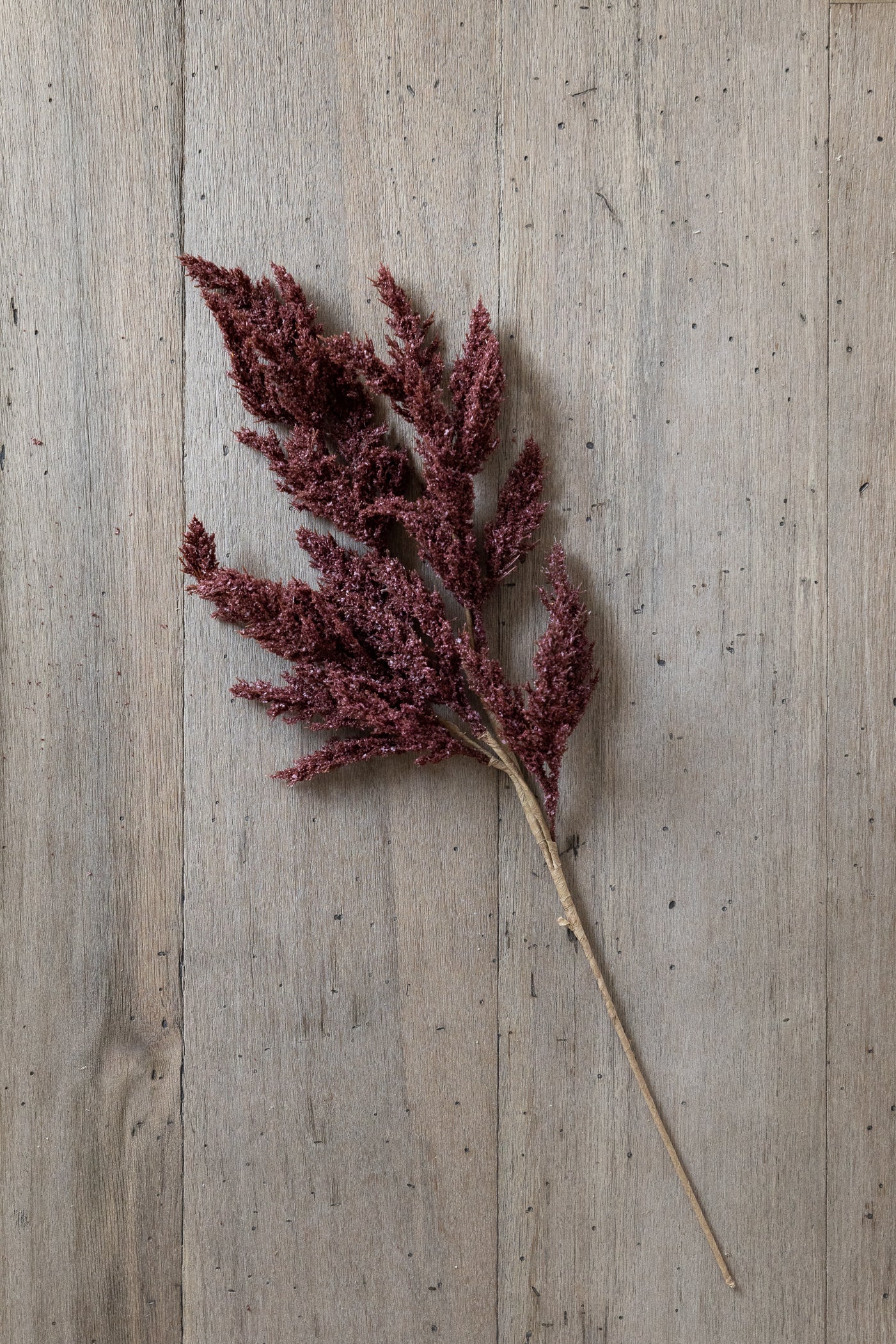 Seed Spike Stem - Burgundy