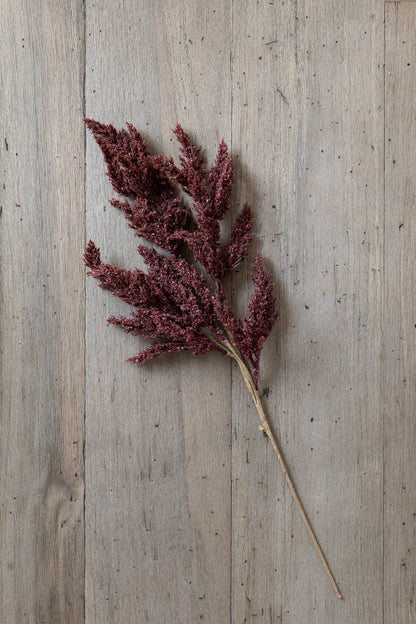 Seed Spike Stem - Burgundy