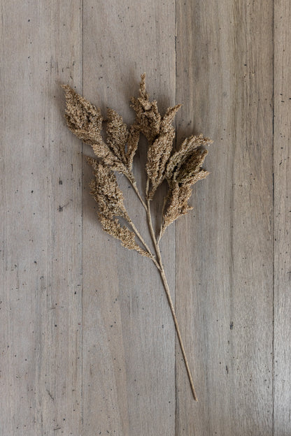 Seed Spike Stem - Taupe