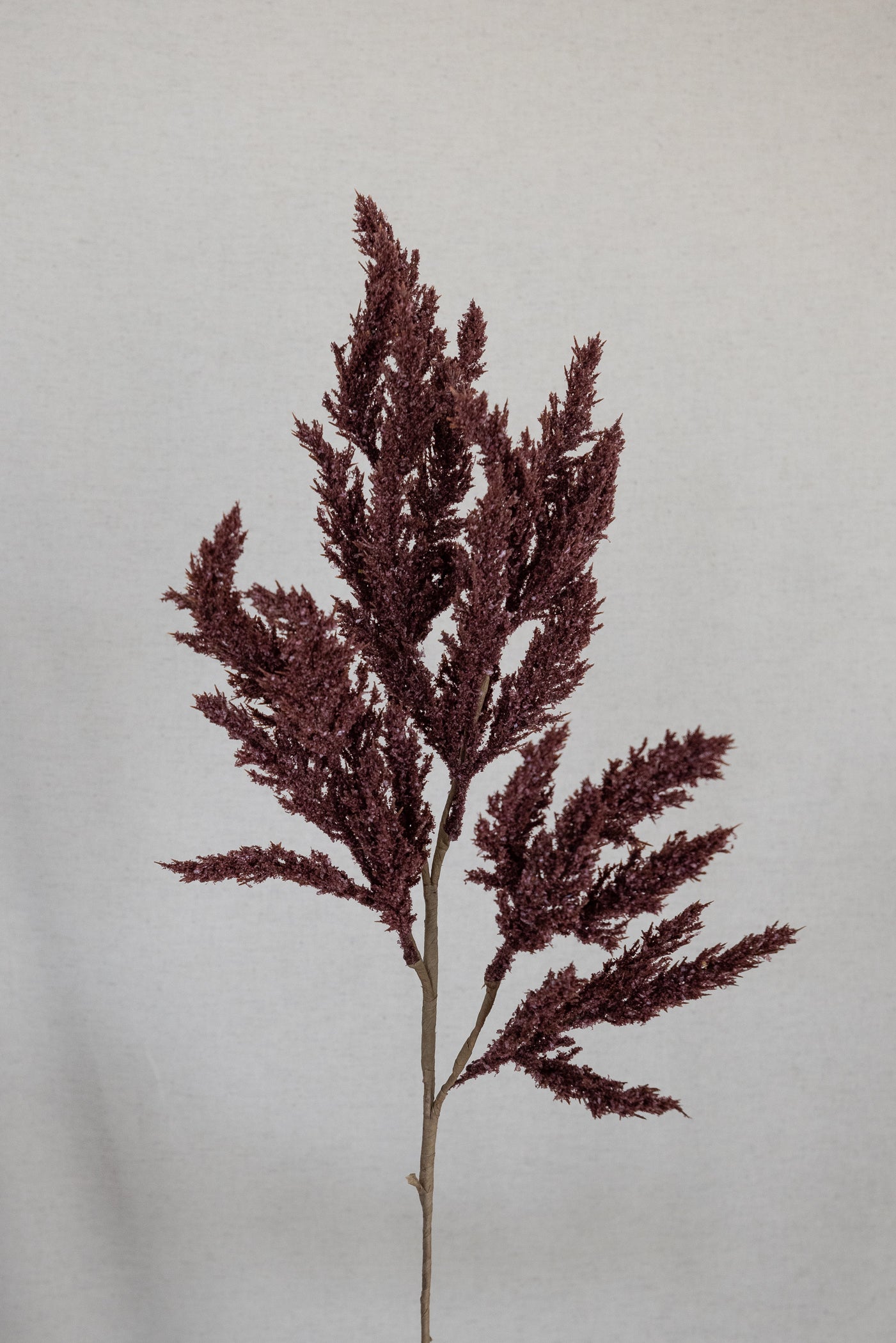 Seed Spike Stem - Burgundy