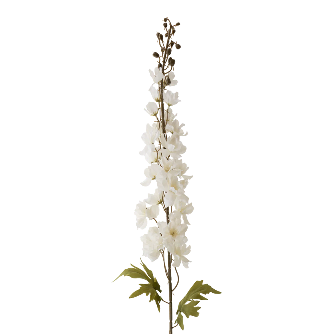 42" White Delphinium
