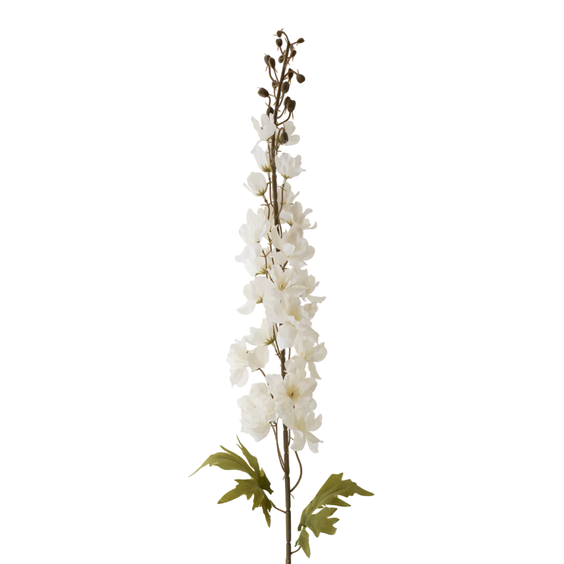 42" White Delphinium