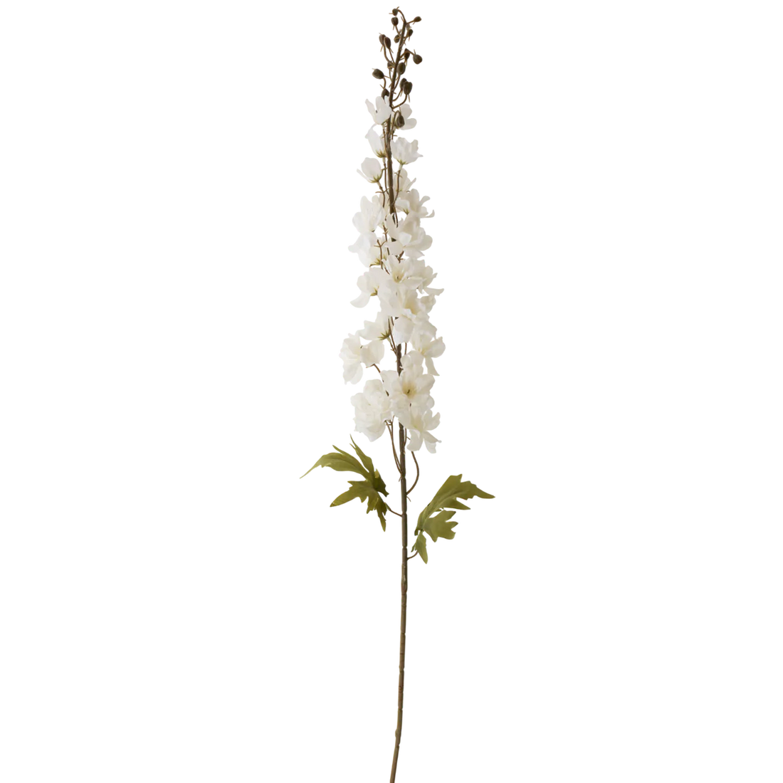 42" White Delphinium