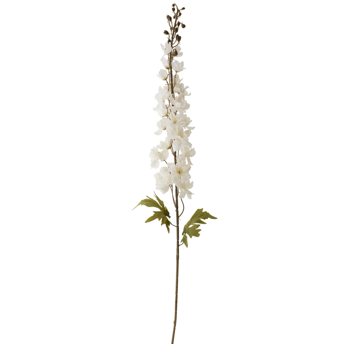 42" White Delphinium
