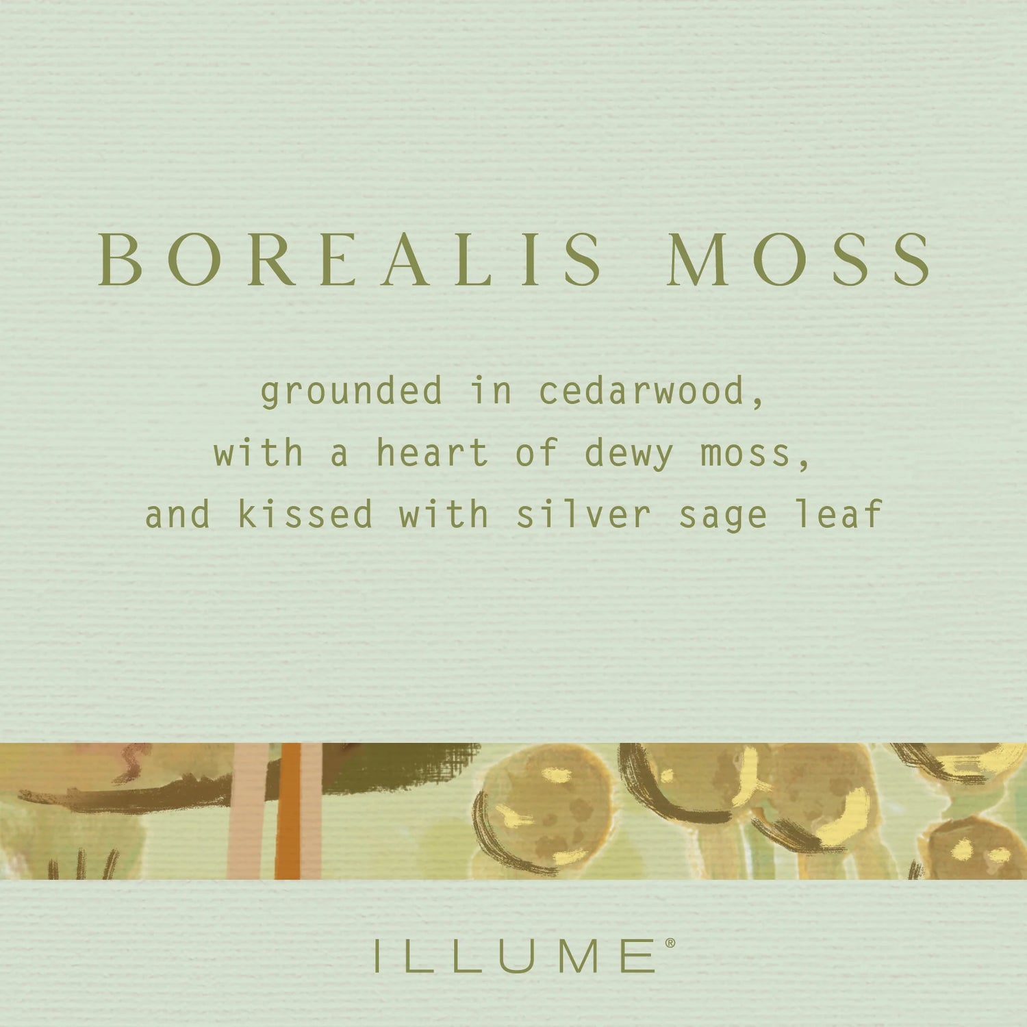 Borealis Moss Boxed Glass Candle