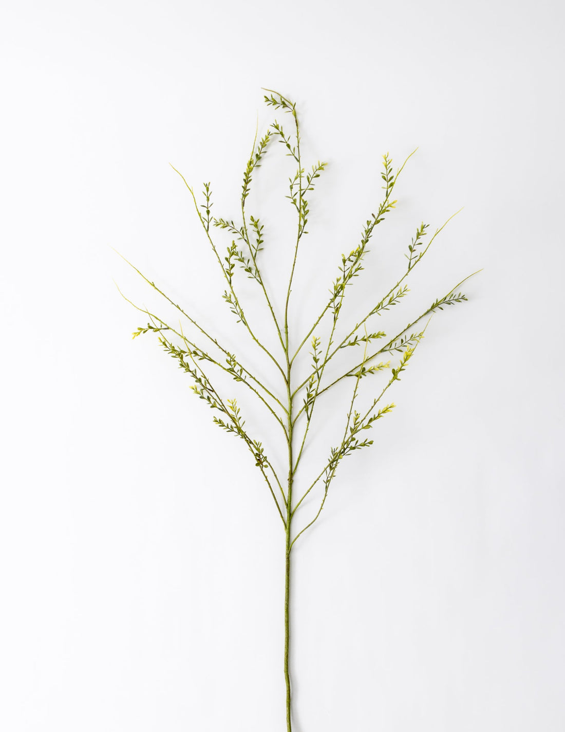 Mini Leaf Spray -  48"