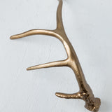 Gold Antler