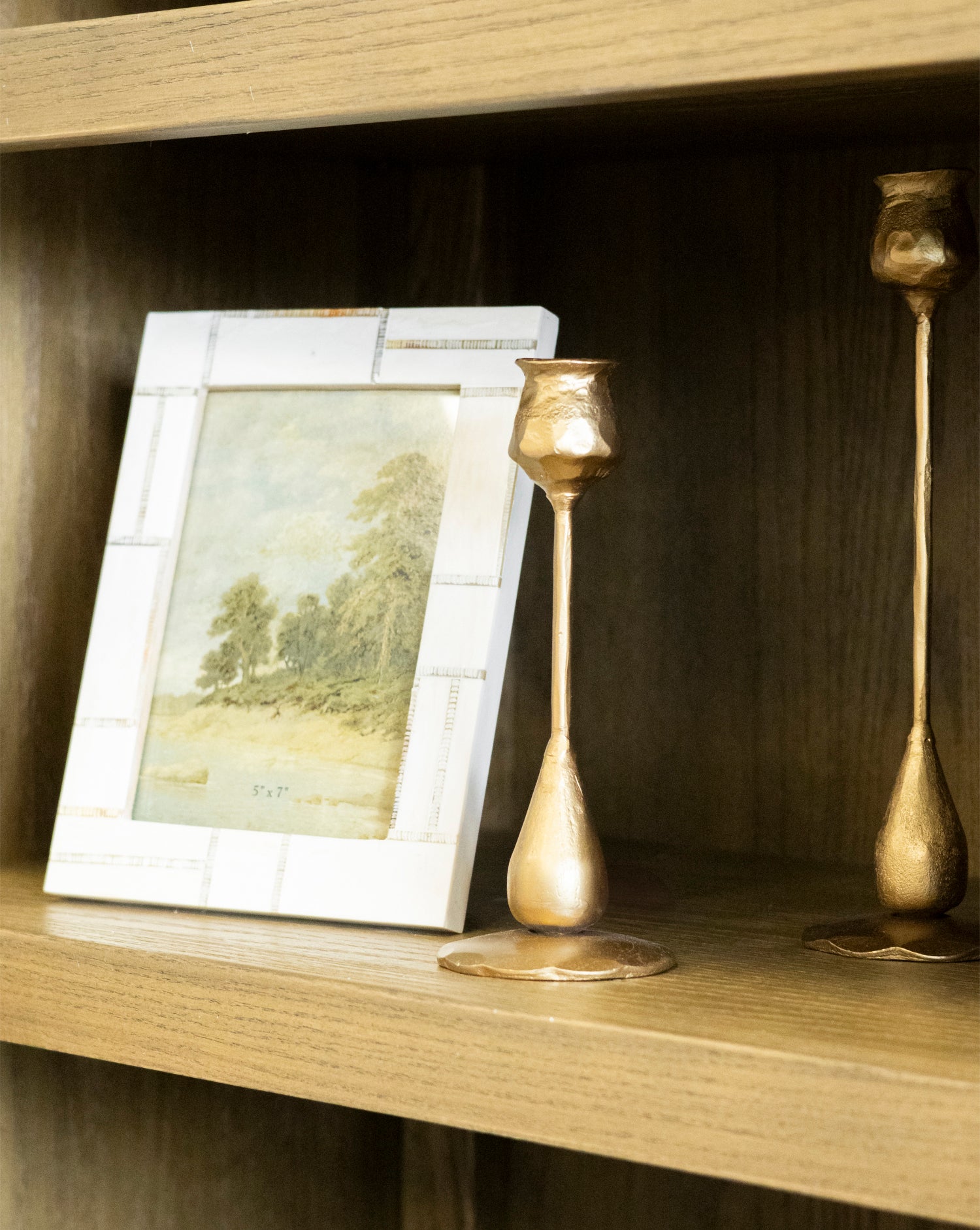 The Ultimate Bookshelf Bundle