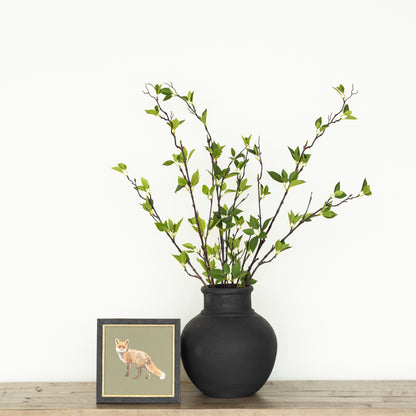 The Forest Fox Bundle
