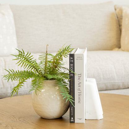 The Cozy Book Bundle