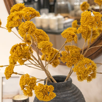 The Yarrow Bundle