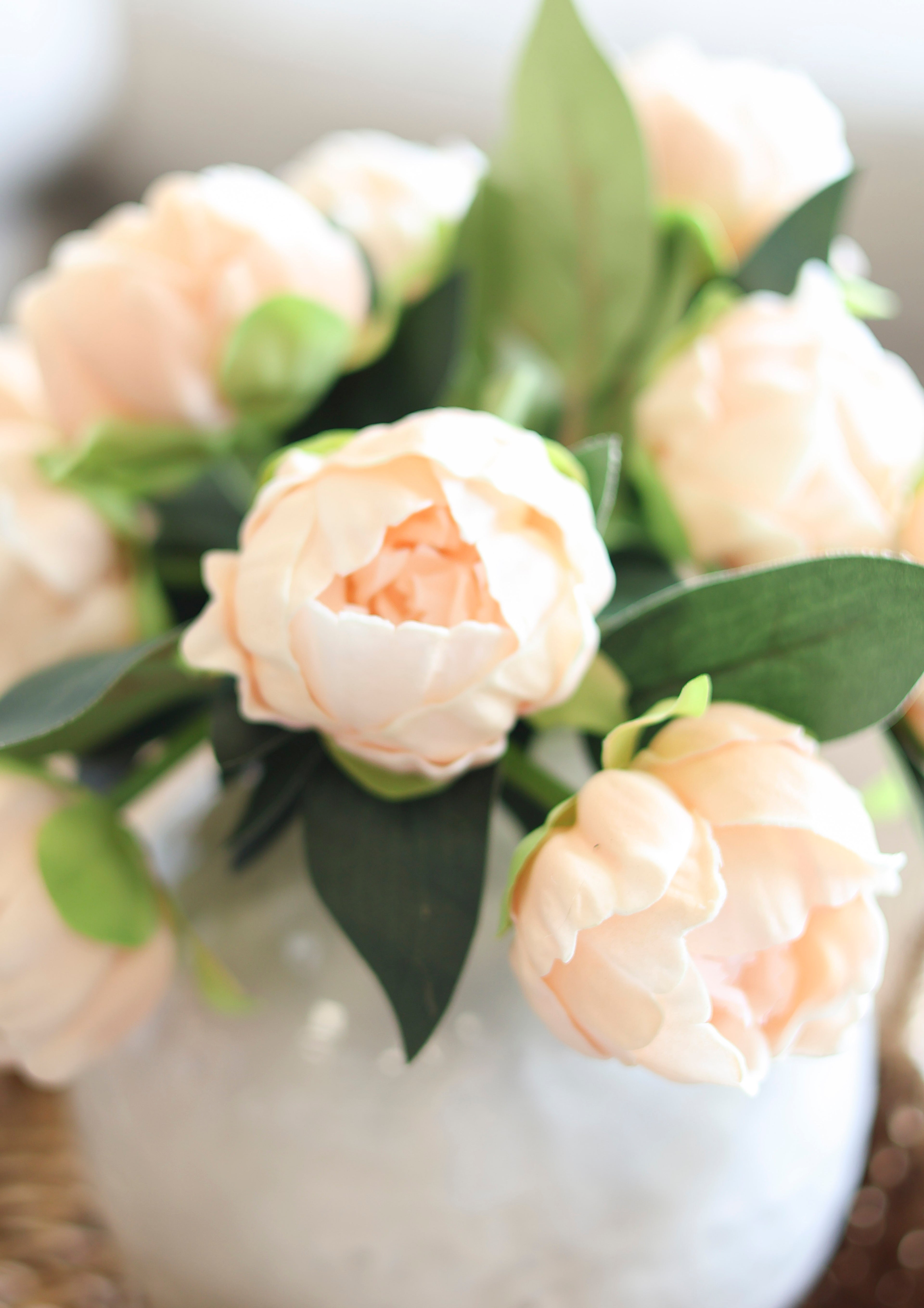 Peach Peony Bundle