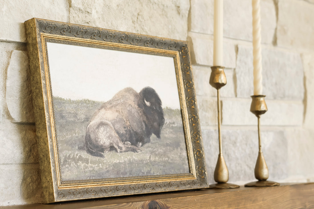 The Resting Buffalo Mantle Moment