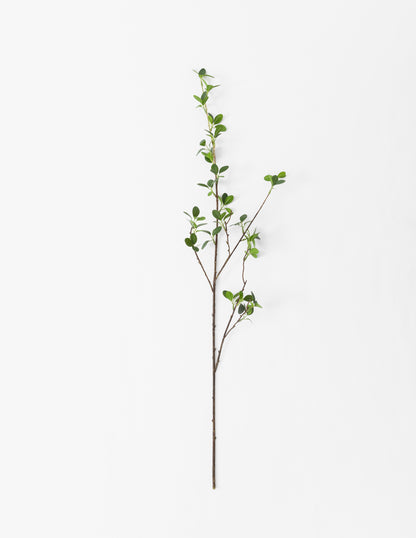 Green Leaf Stem 40&quot;