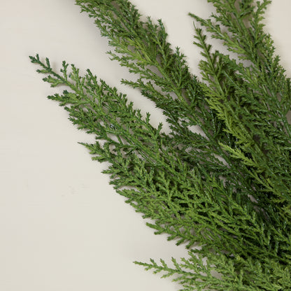 28&quot; Cypress Spray