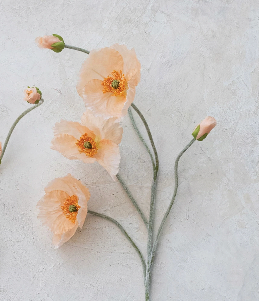 Peach Faux Poppy Stem - 31&quot; Long