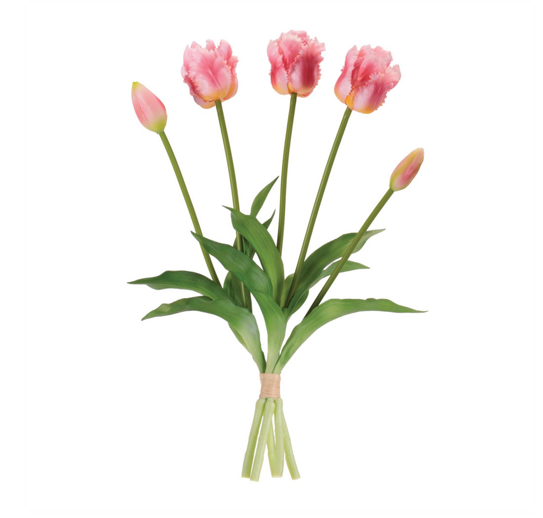 Pink Tulip Bundle