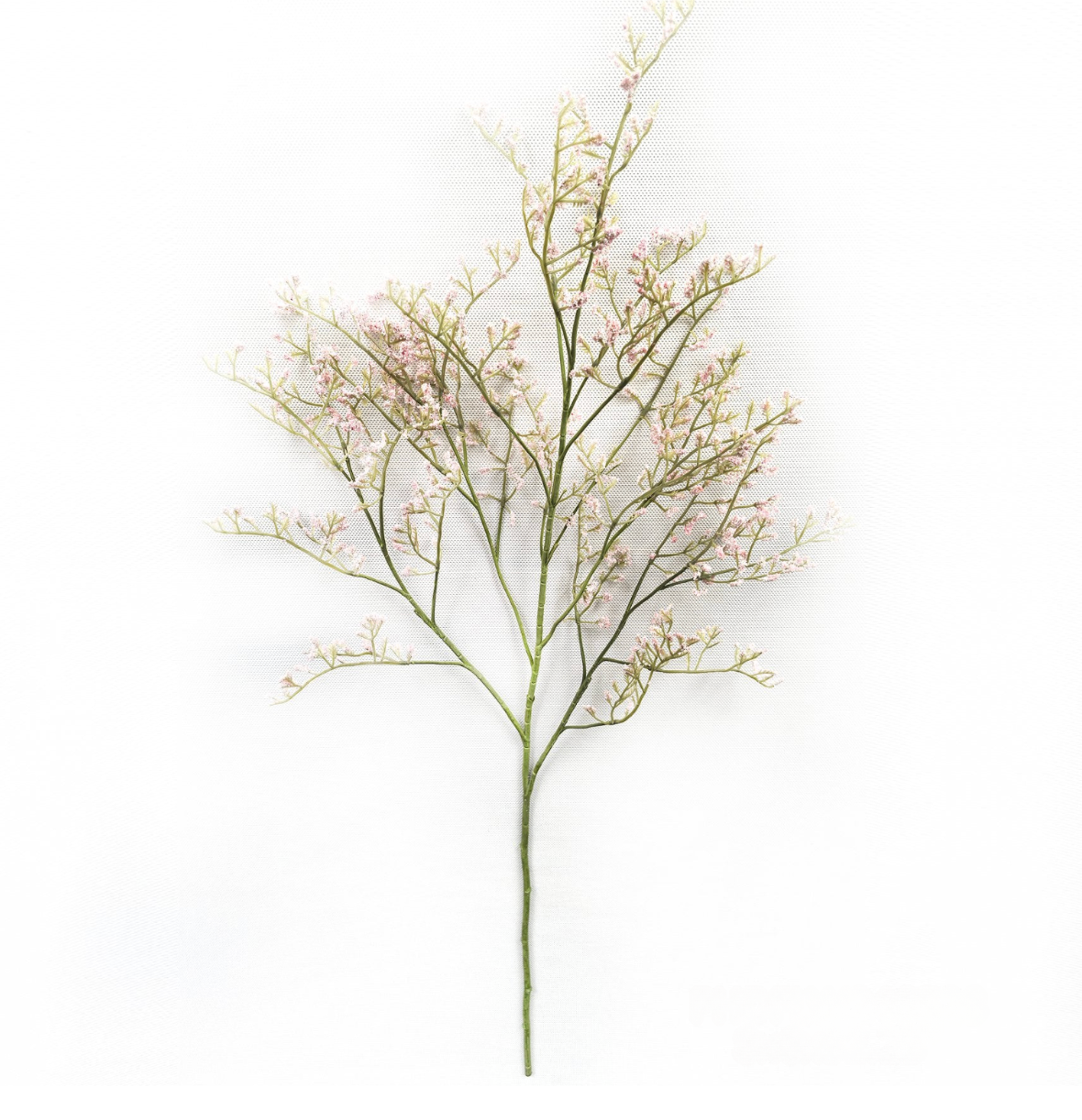 Misty Statice Blush