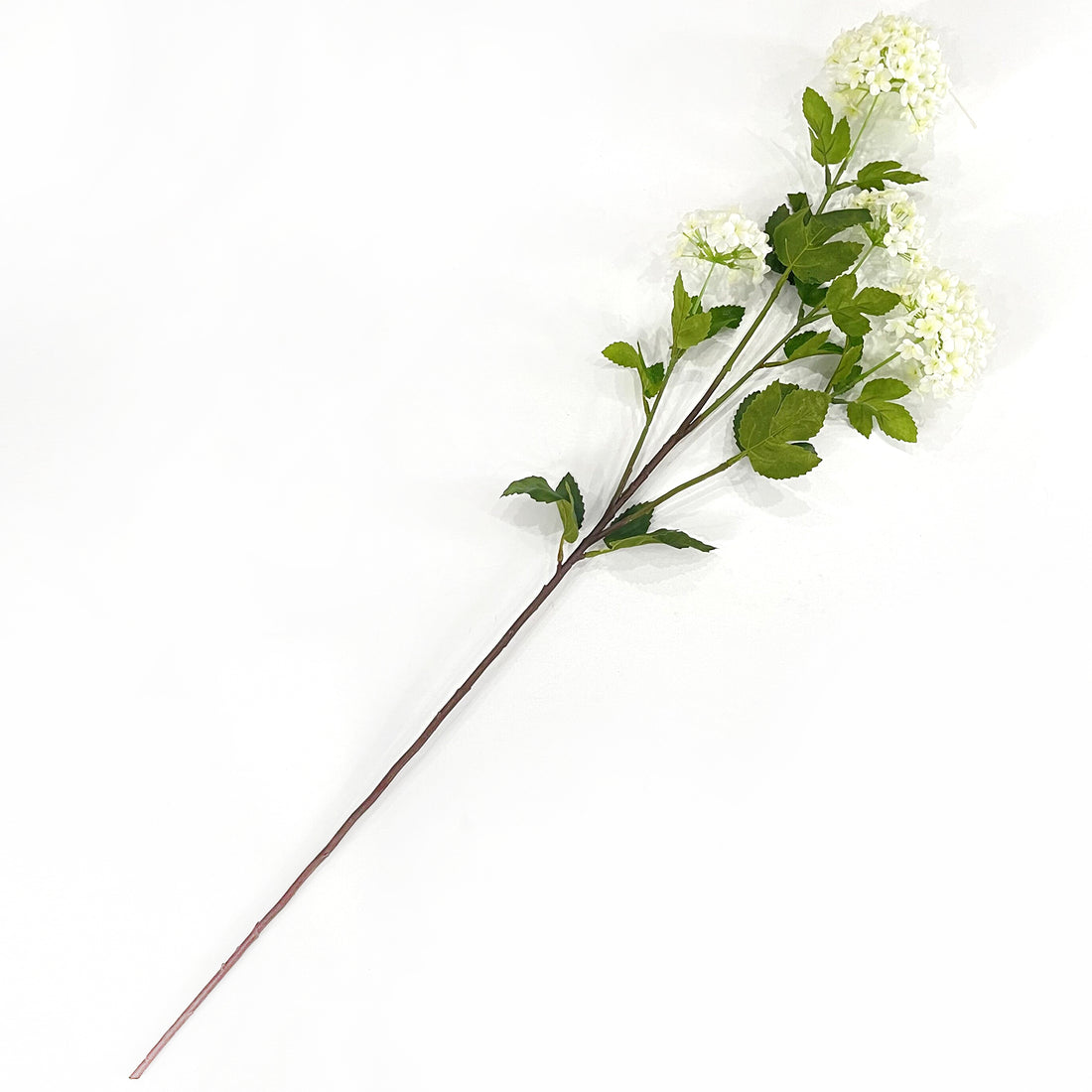 35" Snowball Viburnum White