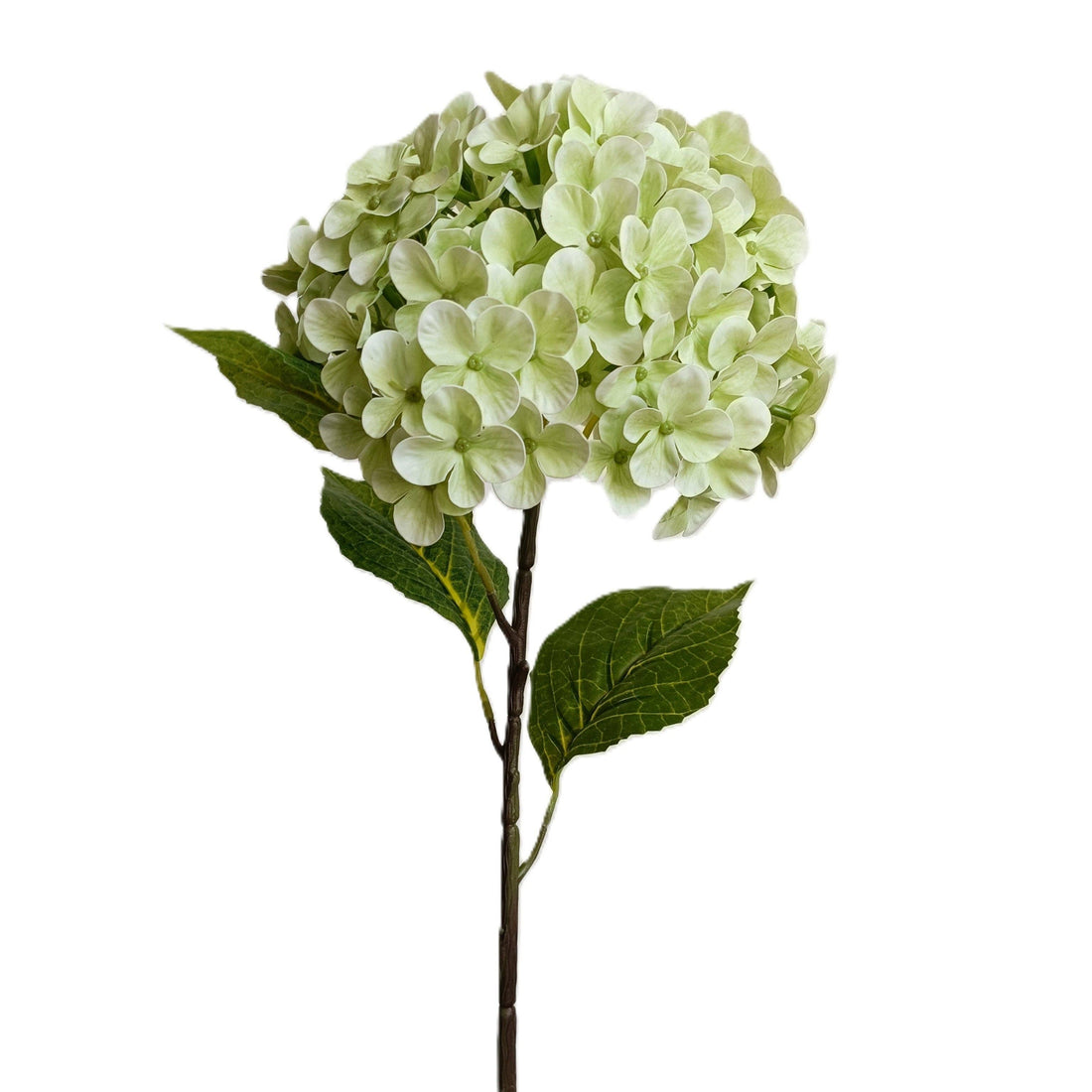27" Light Green Hydrangea