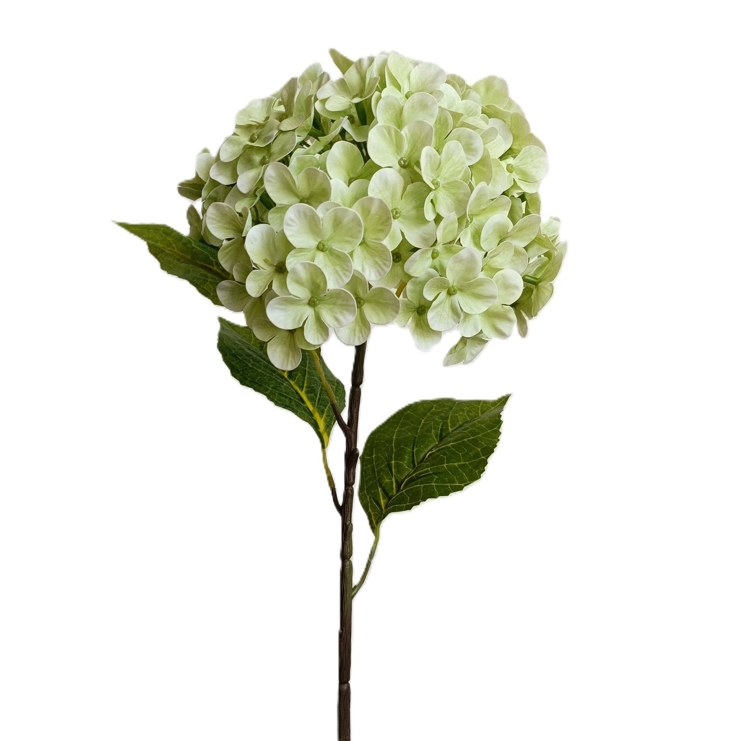 27" Light Green Hydrangea