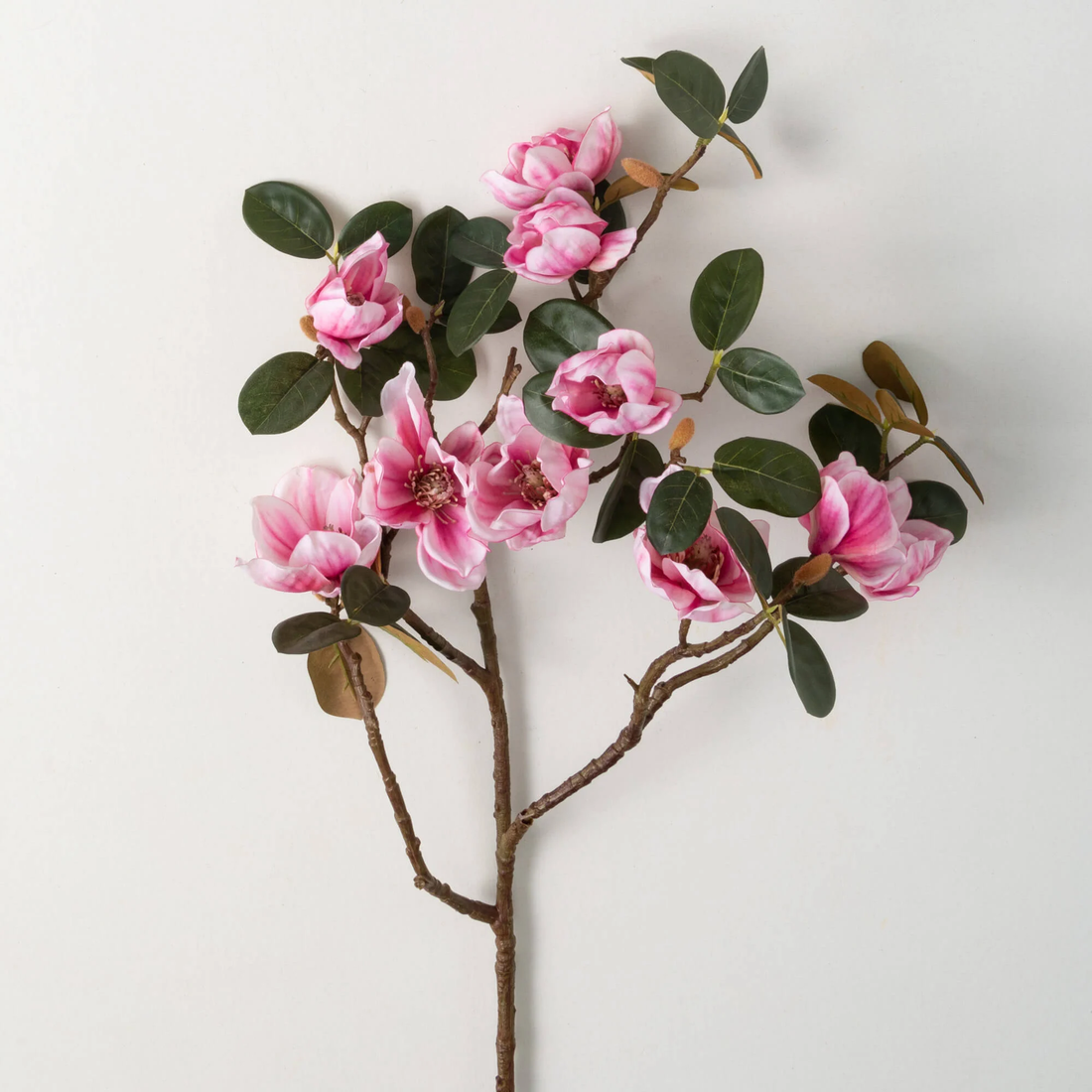 Pink Magnolia Branch - 40&quot;