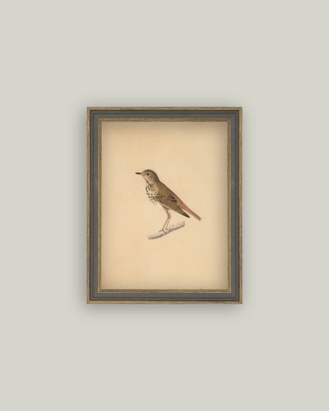 Bird Framed Antique Art: 7x9
