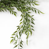 Draping Ruscus Bush  24"