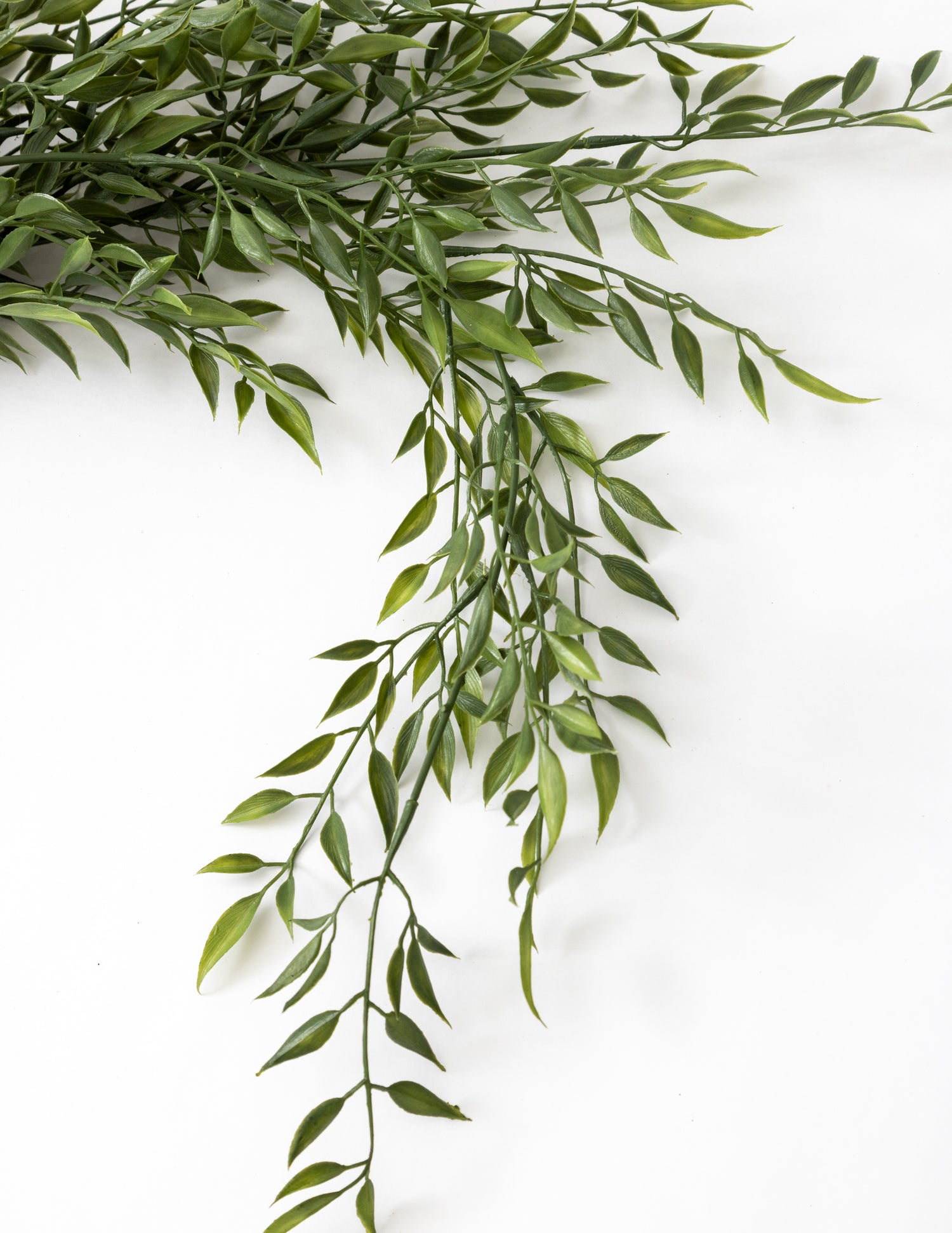 Draping Ruscus Bush  24&quot;